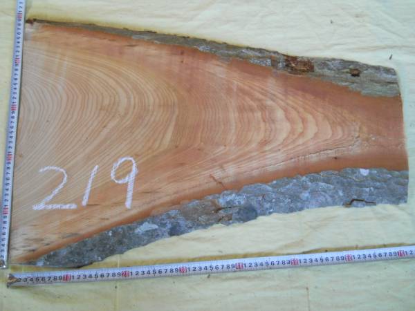 木目がすてきなけやき材　欅　端材　切り端　ＮＯ２１９_画像1