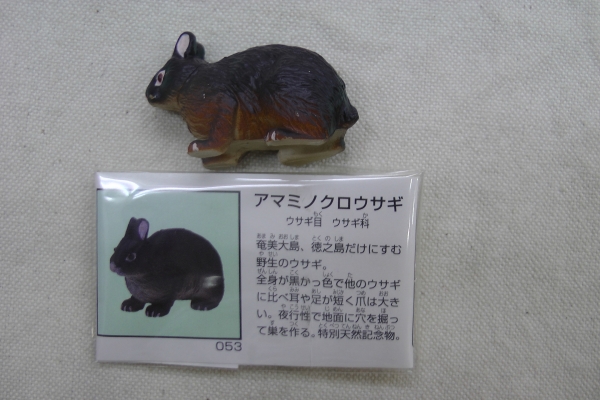 チョコエッグ 日本の動物 3弾 053 アマミノクロウサギ 海洋堂_画像1