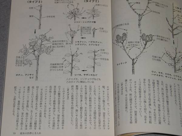 図解庭木の手入れコツのコツ