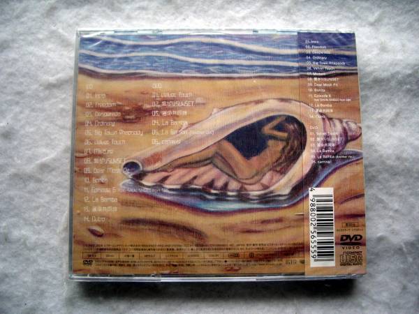 Dragon Ash FREEDOM 初回限定盤 DVD付