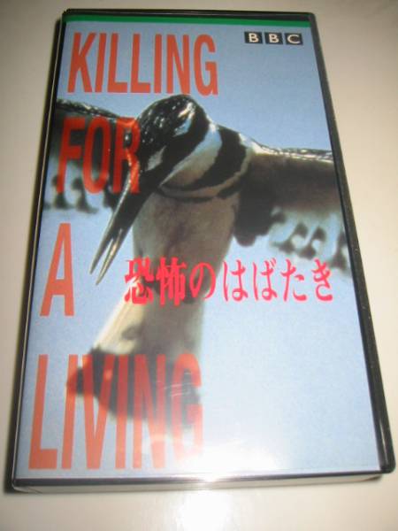 ★【BBC/KILLING FOR A LIVING(野生のプロフェッショナルキラー/恐怖のはばたき)】VHSビデオ_画像1