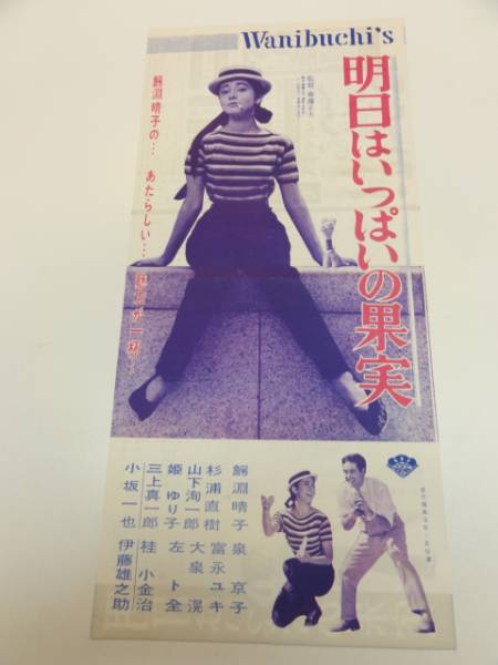 bb1971鰐淵晴子『明日はいっぱいの果実』プレス