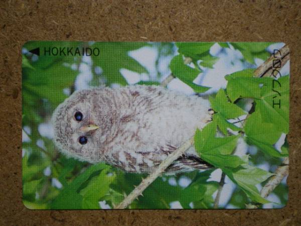 doub* птица сова Hokkaido ezo сова телефонная карточка 