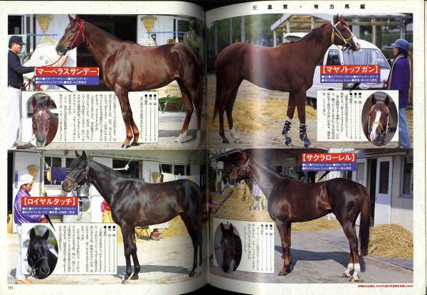 [a3830]97.5 horse racing * strongest law .|..... information, Rhododendron indicum . have power...