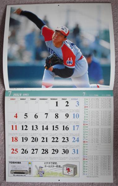 ダイアリー日本プロ野球史 1993年4月～1994年3月版 古本、中古品_画像2