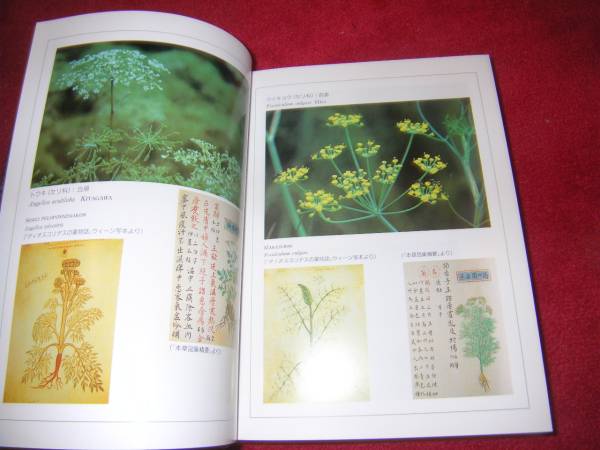 臨床医学と薬用植物―世界の薬草と漢方 _画像2