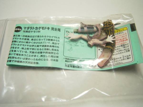  chocolate Q japanese animal 8.madala lizard mo when complete tail chocolate egg reptiles animal living thing figure Kaiyodo 