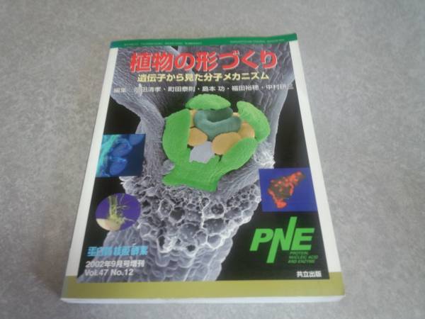 植物の形づくり―遺伝子から見た分子メカニズム 　人気商品☆_画像1