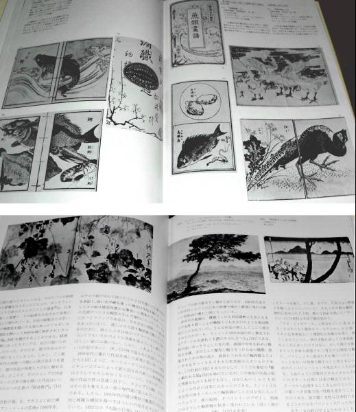 ( free shipping ) llustrated book [japo varnish m exhibition ]1975k Lee vu Land art gallery 