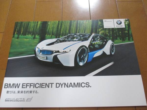 8985 catalog *BMW*EFFICIENT DYN2010.6 issue 23P