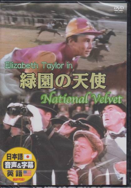 【新品・即決DVD】緑園の天使　字幕/吹替選択可_画像1