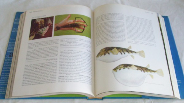 【b8075】1977年 The Encyclopedia of FISH COOKERY(魚料理)_画像3