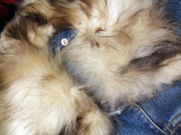 * fox fur use *J&R denim jacket *