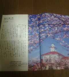 桜花爛漫　鶴岡公園　佐藤賢一　文藝春秋　切抜き_画像1