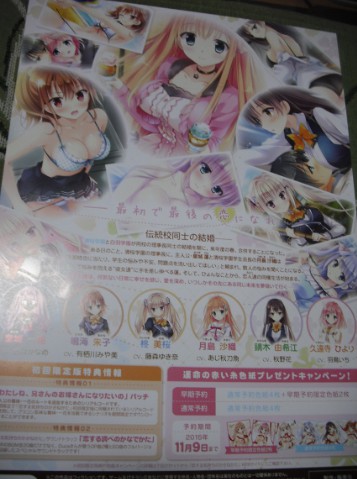 【戀する気持ちのかさねかた★チラシ】きみしま青 PCゲーム 戀かた ensemble