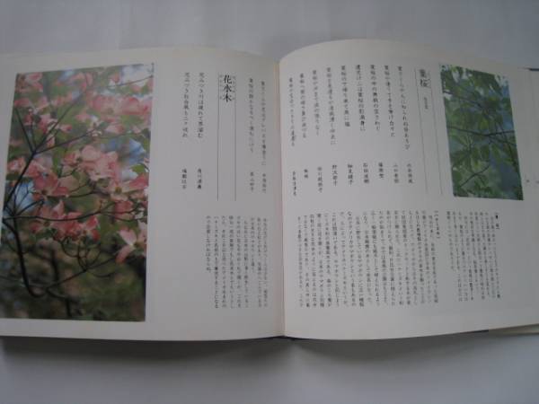 929 сезон ... дерево цветок 2 шт. комплект лето ( сверху ), осень ( сверху )