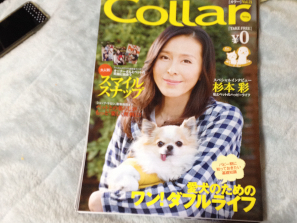 collar цвет собака собака домашнее животное журнал новый товар Sugimoto Aya 