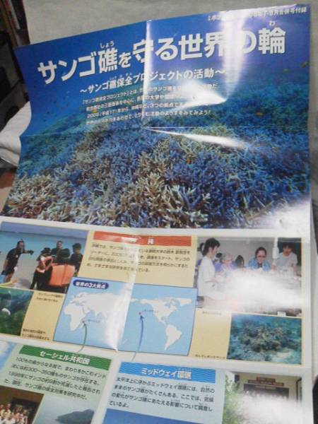 【送料120円】『月刊ポプラディア2008』サンゴ礁を守る/大ボスター_大ポスター