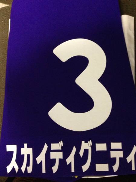 即決競馬■１２有馬記念レプリカゼッケン■スカイディグニティ_画像1