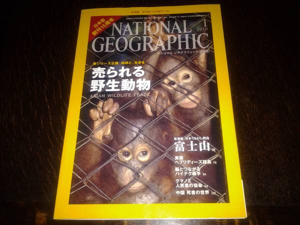 ◆ナショナルジオグラフィック'10/ 1月号◆売られる野生動物_画像1