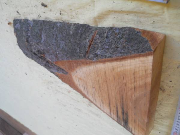 木目がすてきなけやき材　欅　端材　切り端　ＮＯ１８８_画像3
