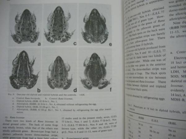 ［36点］ZOOLOGICAL SCIENCE　1984～93（The Official Journal of the Zoological Society of Japan/【英文】日本動物学会_画像2