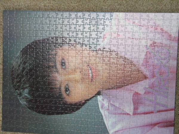  Yakushimaru Hiroko puzzle manner panel 