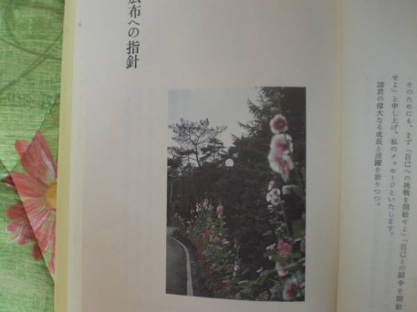  author Ikeda Daisaku flat peace life philosophy . language . Henry Akisinja-