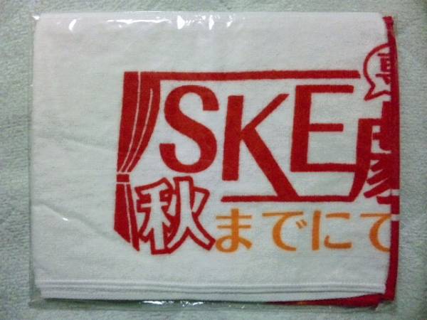 SKE48「春コン 専用劇場は秋までにできるのか？」マフラータオル_画像1