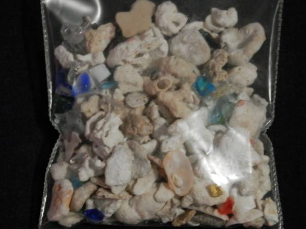 * Okinawa coral missing one-side * glass (50g)No1*