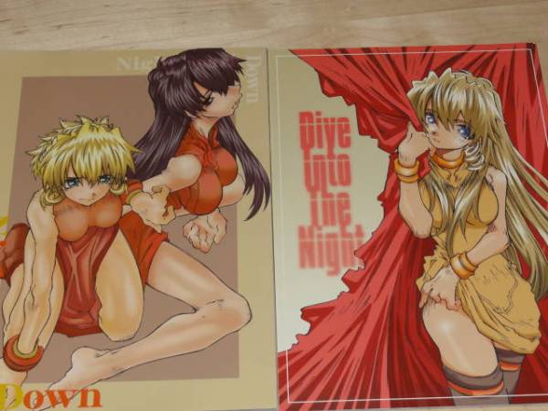 【送料込】遠(yuǎn)海ハルカさんのスクラッププリンセス本　2冊セット