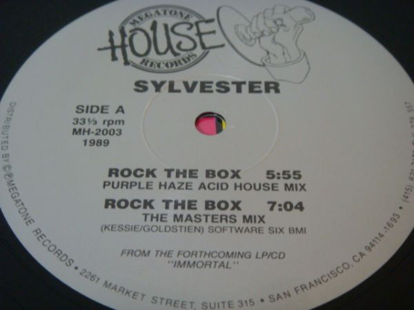 12★Sylvester?/Rock The Box(Acid House/Disco/ナイスジャケ!!_画像2