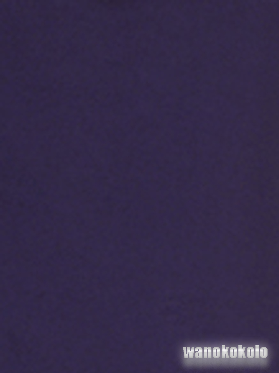 和の志 洗える着物○リョウコ キクチ 袷 NO_17 日本最大の 販売期間 限定のお得なタイムセール 江戸紫色系 色無地Fサイズ