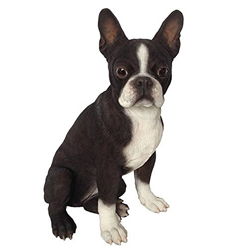 実物大 ボストンテリア犬の置物・（Boston Terrier） オブジェ 彫像 ペットショップ ペットホテル 獣医 ドッグカフェ ブリーダー（輸入品）