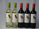 チリ白赤ワイン5本セット デル・スール カルメネール ミディ