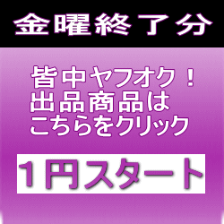 1円オークション金曜終了分を紹介します