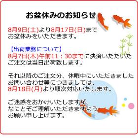 夏季休暇