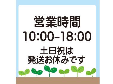 営業時間　10:00-18:00