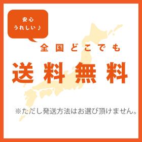 全国どこでも送料無料