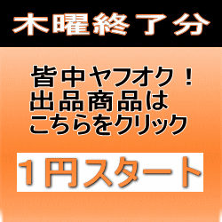 1円オークション木曜終了分を紹介します