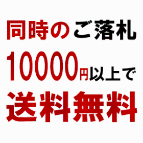 10000円送料無料