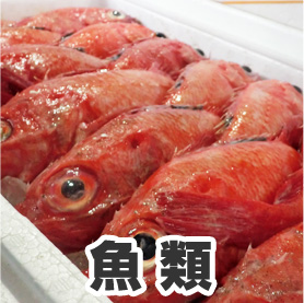 きんきやカレイなど新鮮な生冷凍の魚商品