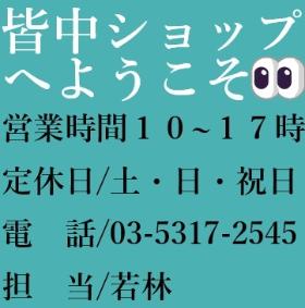 皆中ヤフオクへようこそ和装着物出品中です