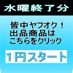 1円オークション水曜終了分を紹介します