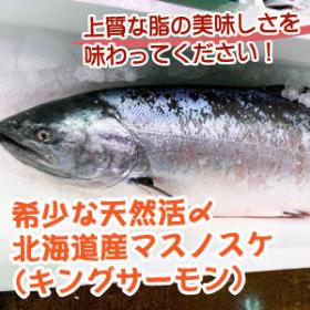 希少な北海道産キングサーモン（マスの助）