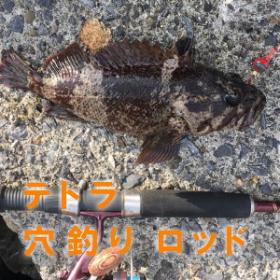 テトラ　穴釣りロッド