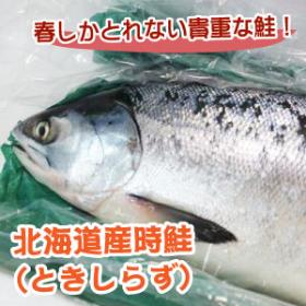 希少な北海道産生時鮭