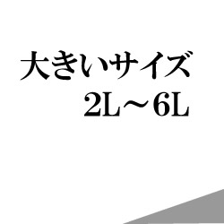 大きいサイズ