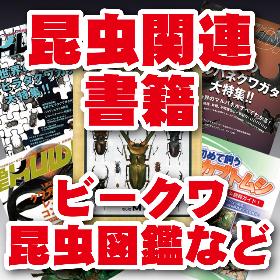 ビークワ　昆虫大図鑑
