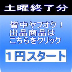 1円オークション土曜終了分を紹介します